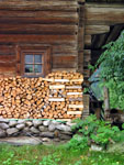 Detail of house